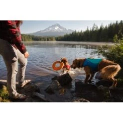 Ruffwear Hydro Plane™ Spielzeug M Orange 10 Ruffwear Hydro Plane™ Spielzeug M Orange -KONG Verkäufe 006b8682fcf44b40a786d55bd2f1d1cf7f91a7a7 1364300 de DE b9c71d828876a94633bfda1055d03e137f81043ehPprdP