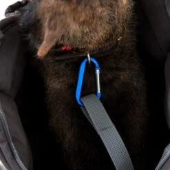 Doctor Bark Hundetragetasche Grau M 10 Doctor Bark Hundetragetasche Grau M -KONG Verkäufe 03f00f317766866df9758788ab4f17529834208e 8a36e572228f667afc46c66ada064da9d5cd2b75