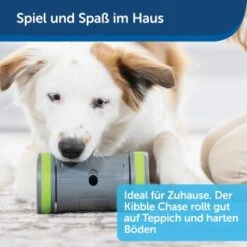 PetSafe Selbstbewegendes Belohnungsspielzeug Kibble Chase -KONG Verkäufe 04ee16df08a1d0058720c3c24edae0b380a4f40b 1418726 de DE 98f77b1c14ebd5f386fc2520d6b8f5d2f621874avKV76L