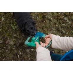 Ruffwear Pacific Ring™ Spielzeug Blau/ Türkis -KONG Verkäufe 07365c8c03348a7be23ff66a31807695c41eac94 1444351 de DE bb2133baab48cb1d262b89fa47f175638eb3f7fcb9JpcH