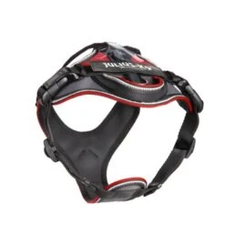 Julius K9 JULIUS-K9 IDC Longwalk Rot/ Grau XS -KONG Verkäufe 08bdcefa8b4fef70cae2dcb79e97594cc4967a61 1346666 de DE K9 2