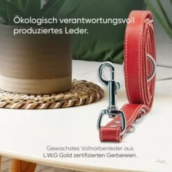 Freudentier Hundeleine Aus Leder, Verstellbar Rot 2 Cm -KONG Verkäufe 095e47da8f5a307b6f5025838b38597754678a1e 1655244 de DE 8e350e610570bdb83aafc866d93ab02d6b2880d0RXpT0B