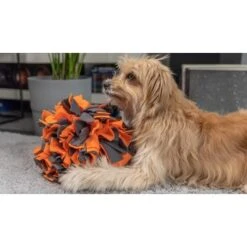 TrendPet Schnüffelball Orange -KONG Verkäufe 0b3adcfec2519e0c6e929e0267a6c980a87babfc 1347789 de DE 4bd3ff6adcaeee7c376418b75c81fae19b8db63bwKh8XT