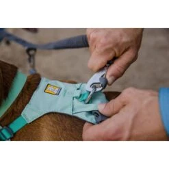 Ruffwear Double Track™ Koppler -KONG Verkäufe 0c9b380322826e69b8d7026874e5a3bf29019fd2 1651544 de DE cd36202d4509250593f20b70187219a1da997b37dWFFqV
