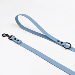 THE DOG IDEA Cityleine Biothane -KONG Verkäufe 0cc37f154e12312709ac75dfbb11c4dbede73525 1497680 de DE 6d9599c1b50e735c750dc03d2eb0893b556bb670ZP9mnI