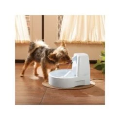 PetSafe Drinkwell Trinkbrunnen Original, 1,5 Liter -KONG Verkäufe 0eafb4742dba6833f9a27c15a06f970e4cd3a735 e5e9d8abdbe4501019d4b3506e15c02aeff7b01c