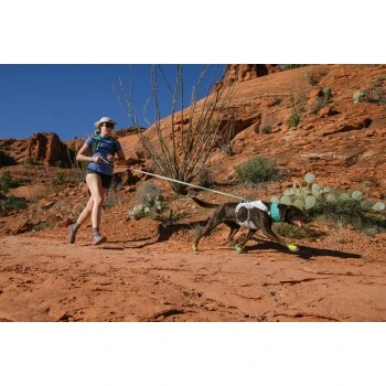 Ruffwear Flagline™ Leine Grün 9 Ruffwear Flagline™ Leine Grün – Bild 9