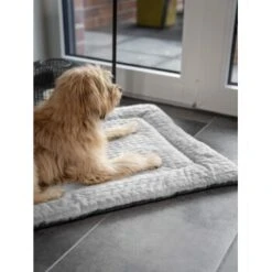 KONG Verkäufe -KONG Verkäufe 146f8a8177596abe2967eef32b9376e5b75604f9 1288886 de DE f8b8d5f971c355708a360c0411745070cc3a844dZAlcog