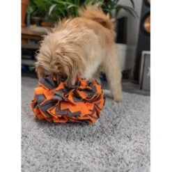 TrendPet Schnüffelball Orange -KONG Verkäufe 150c7485ceb45f446eae94d286af034396b6b839 1347789 de DE 0d959a3cb36067968769c2d102a66fcc1f59a724hVebVb