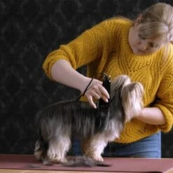 Moser Schermaschine Typ 1400 -KONG Verkäufe 1559dc1580d12f0825069dc0425234fe0b455a1c 1f8a3eb831d5c4fcc001113b4dafee6e3054f4c4