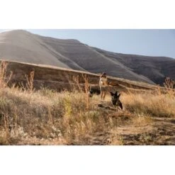 Ruffwear Hover Craft™ Spielzeug Orange -KONG Verkäufe 15670c7f824cb67257971dca32974b68eba14a2f 1364297 de DE f53c4ca5615bcabb9ccbd712339b8f568f29402frPrk2m