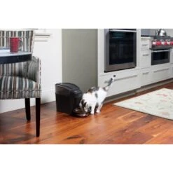 PetSafe Simply Feed Futterautomat 13 PetSafe Simply Feed Futterautomat -KONG Verkäufe 162adf6a7738d5bf21e1a8f543a00d8bc113bc69 1239482 de DE b44f850e1b411ed2fa4a4391f952beef1a1d7530wtxP0K