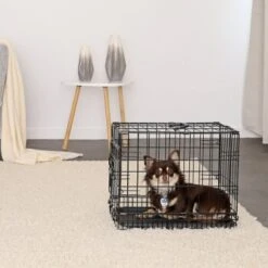 Lionto Hundetransportkäfig S 8 Lionto Hundetransportkäfig S -KONG Verkäufe 16bf4a7bda8913bd8d6759c333b8462422c25930 1657954 de DE 88d7762950e447e6280dda9dcc577106888c533eyg5v9p