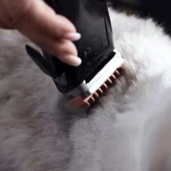 Moser Schermaschine REX -KONG Verkäufe 1772a67d22493cedccf903dd1e91d7ff370d86f7 29185d9f269d8954e1525c804aae277033703d78