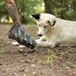 Lionto 900 Hundekotbeutel, Schwarz/grün -KONG Verkäufe 17d84f00e6e089a625e4a7445a96fed1a09bb2f4 1505073 de DE c0948f5c29f13d2cf13d5fe146c78c3bdc08027cV7CBfj