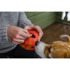 Ruffwear Gnawt-a-Rock™ Spielzeug Blau 17 Ruffwear Gnawt-a-Rock™ Spielzeug Blau -KONG Verkäufe 18a32f6fd206d1a1fd4df8bb6663cd33f769d9d5 1639879 de DE b243dd683d9144eaac7a8d1e460c634ef96ee8c8AtipD6