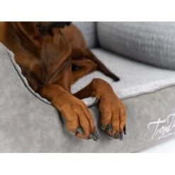TrendPet VitaBed Style Orthopädisches Hundebett Grau S 11 TrendPet VitaBed Style Orthopädisches Hundebett Grau S -KONG Verkäufe 1ab0715e2abedd704cef19debbfb3fb5005350f1 1390626 de DE 39c90883b3b1f108ce89c25d7bd76a1b2516b420pGeUjP