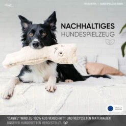 Freudentier Nachhaltiges Hundespielzeug Daniel -KONG Verkäufe 1d76f528eae39671e4d1834457219c343008a2d3 1408970 de DE eaef6ecd52d3d4c991411f4325e77d342eb1ce7eIH205L