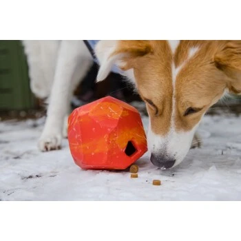 Ruffwear Gnawt-a-Rock™ Spielzeug Blau 8 Ruffwear Gnawt-a-Rock™ Spielzeug Blau – Bild 8