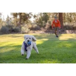 Ruffwear Huckama™ Spielzeug Violett -KONG Verkäufe 1e25287ed59c30d76e9b799ca71232e607c6932b 1639706 de DE 4cde75bd4ef04e9f936b40473471e71f69a39443R9gkOp