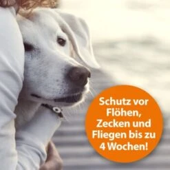 Ardap Flohspray Zur Anwendung Am Tier 250ml 10 Ardap Flohspray Zur Anwendung Am Tier 250ml -KONG Verkäufe 1e38b7747570a91b3fd009f3974005664ac2d015 1227735 de DE 3ce23e78efb3686272f02c09e5ca6ade74ba7902gmBWUo