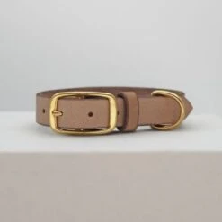 THE DOG IDEA Leder Halsband Beige XL -KONG Verkäufe 1ec48d2972c0e1dfe6ea7297404e371c480b6f93 1674216 de DE e62f018514b26e403cf6836ac6a855f79abfd60fyH1vTH