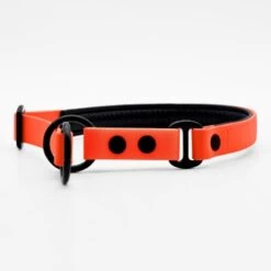 THE DOG IDEA Zugstopp Halsband Orange XS -KONG Verkäufe 1ed8fefef63b371ec4cda43f60e91d6f1ca94f50 1499712 de DE a31f6753e5b48355b1f0f63cd519e5adcd14cfd067hyQ3