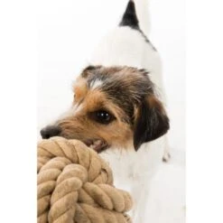 Trixie BE NORDIC Tau-Ball 18cm 9 Trixie BE NORDIC Tau-Ball 18cm -KONG Verkäufe 1f7fb2f6aa41b9eda5c2948d6d177e65789848a0 1317741 de DE Trixie be nordic Tau Ball wb 2