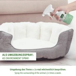 Aniforte Zeckenspray Für Hunde 100ml 8 Aniforte Zeckenspray Für Hunde 100ml -KONG Verkäufe 1f85d440ca1eeee643e4f393ee7d5ae590b94bfc 1501153 de DE a91102feca03452136bdb7a3a5e555023f3cd93dLCLj1o