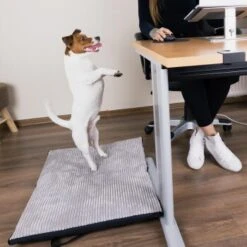 Freudentier Faltbare Hundematte Für Unterwegs S-M -KONG Verkäufe 2028d765e8e36bbac743fe9fa472973621598490 1445215 de DE 88a2b27d760da648b7a5995f69e3cd880b3018er