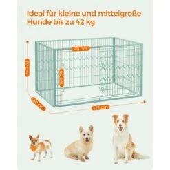 FEANDREA Welpenauslauf 4-teilig Schwarz Mintgrün -KONG Verkäufe 224c77aaf5680958d3354ea8db1a602877470bbf 1500915 de DE 037d3f346d915f36c8974a9cb17670b83a182474Anl1ai