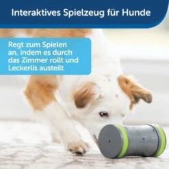 PetSafe Selbstbewegendes Belohnungsspielzeug Kibble Chase -KONG Verkäufe 232030f86f814de36b46e922b9019b2a80aa0a4a 1418726 de DE cabfebb8ef64f9f8a7009d6c5080cb046558ff00b0jRo2