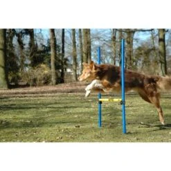 Dobar 3-teiliges Agility Sprung-Set,, Inkl. Tragetasche 7 Dobar 3-teiliges Agility Sprung-Set,, Inkl. Tragetasche -KONG Verkäufe 23438a1c89953580debb447a4f2a6705cf109122 9daba483a29d35b05cf9df2cf0269c15e7db3ed2