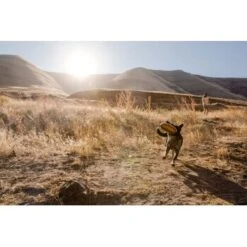 Ruffwear Hover Craft™ Spielzeug Orange -KONG Verkäufe 23f3ce0fb188e4f5a253007adc90481d6747961b 1364297 de DE e44fe3627eb338195cfdd7c589598a8edb05def2xpzXS1