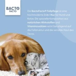 BactoFacto Fellpflege Spray -KONG Verkäufe 261e5684aae933ed9ed50375ca2973697fed8b70 1408996 de DE 1d517e5d1a17e3da24ecb2076cebbefd61c1f0f8FP3kRt