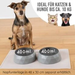 KaraLuna Napfset Mit 4 Napf Einsätzen 0,7 Cm³ -KONG Verkäufe 28c728d2fcd81b1e3fe354921639bd90794a2e55 1421232 de DE 8c954554313da19bfbae3bd212b16b0dde40999fiv6uXN