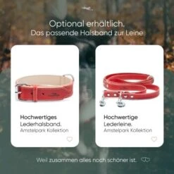 Freudentier Hundeleine Aus Leder, Verstellbar Rot 2 Cm -KONG Verkäufe 2962c2e598bc6cbfe94ea7ab0bc9c46ed7dc929e 1655244 de DE f81a0a5aa37f11b9f30726c77188c6f92aabb009nCQB91