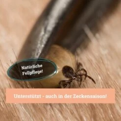 BeG Buddy Fellspray Zecke -KONG Verkäufe 297119792bee87c54c4080010b8d6149223d300c 1457254 de DE b0426d8711049b0aafb9b17aaa93a89672536d279Kmo8x