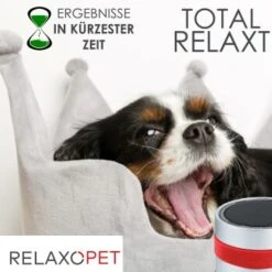 RelaxoPet PRO Entspannungs-Trainer HUND -KONG Verkäufe 2a2890af55504b316fb288b48c33f73cd8cd6818 1315705 de DE 86a89a3dec2d79cadfd859276b25e24b347ce6a68JwiKQ