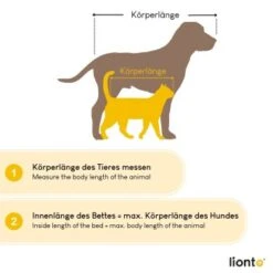 Lionto Orthopädische Hundematte S 15 Lionto Orthopädische Hundematte S -KONG Verkäufe 2ac741df42541484d5c6bed395cf292d4da8dadb 1657083 de DE 79bb62026e2c63046ee7e1aa7503d3a810e3a9c6yiPrVD