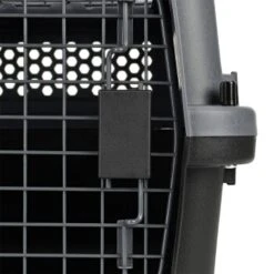 AniOne Transportbox S -KONG Verkäufe 2d4f9dc9bfba131f510368c5e3f6dc42f9d375e0 1384817 4 1