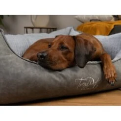 TrendPet VitaBed Style Orthopädisches Hundebett Grau S 10 TrendPet VitaBed Style Orthopädisches Hundebett Grau S -KONG Verkäufe 2e22e76b9890cab2b347eb169b198c1328e5fa27 1390626 de DE 4bc3134fc91eb5037474c4e687bb289c40b73b9bIhkXpe