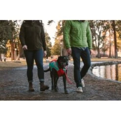 Ruffwear Just-a-Cinch™ Leine Rot -KONG Verkäufe 303852545543aedc9a714a3496506b640ceae72a 1651622 de DE 9ed12edf7d3873a735529877997e2bb507e71779PTzMwn