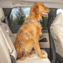 Kurgo Swivel Tether Hunde-Sicherheitsgurt -KONG Verkäufe 307a4c5f050b6142fe4c665bdeaa3a0be0385ec3 1481164 de DE 8cf1d51712fee99749a185998fab0d1502a24f68v0gDmS