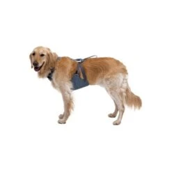 Ruffwear Auto-Sicherheitsgeschirr Load Up™ M -KONG Verkäufe 3093b420ea874973a4896ceec07c49a8968d3fd1 1670640 de DE 10f6ab706b1f33e82246cce93c7d50d48e826c56cynWL4