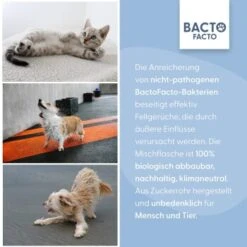 BactoFacto Fellpflege Spray -KONG Verkäufe 30b14586b3a3474b0cfce5fc7df4afffc88c5118 1408996 de DE 0500f7acce4be40f22c19f011f98967543a70717VmmbpR