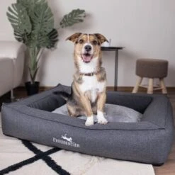 Freudentier Orthopädisches Box Hundebett Siebenschläfer M -KONG Verkäufe 32de9266716854cdaed24d4e14dc10e4656a1fe7 1477909 de DE a1d3b17f0715bf9005338fd2dbe5c71fb79f4226UdMUzr