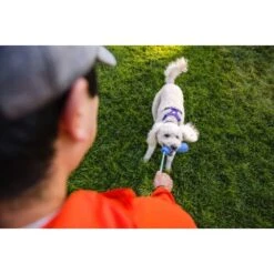 Ruffwear Gourdo™ Spielzeug S Grün 9 Ruffwear Gourdo™ Spielzeug S Grün -KONG Verkäufe 340d5a3cda4bb7c7215d03f2d69aea1fb532027d 1639795 de DE dcb292407c796db89093f35e704145b6700aa2deFjWC0G