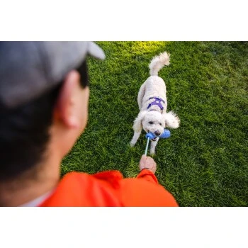 Ruffwear Gourdo™ Spielzeug S Grün 4 Ruffwear Gourdo™ Spielzeug S Grün – Bild 4