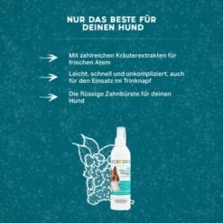 MediDog Dental Fresh & Clean -KONG Verkäufe 343cceef613c074ed5b447a70d31269a870cf15d 1499660 de DE f2641cc7f5b00beb77fbbf61330ce24716292663yYZq7c